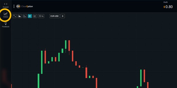 Recent Orders History