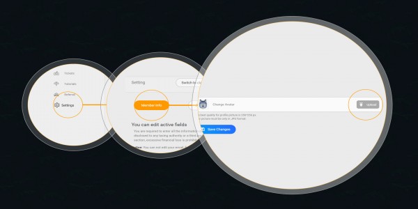 How to change your profile?