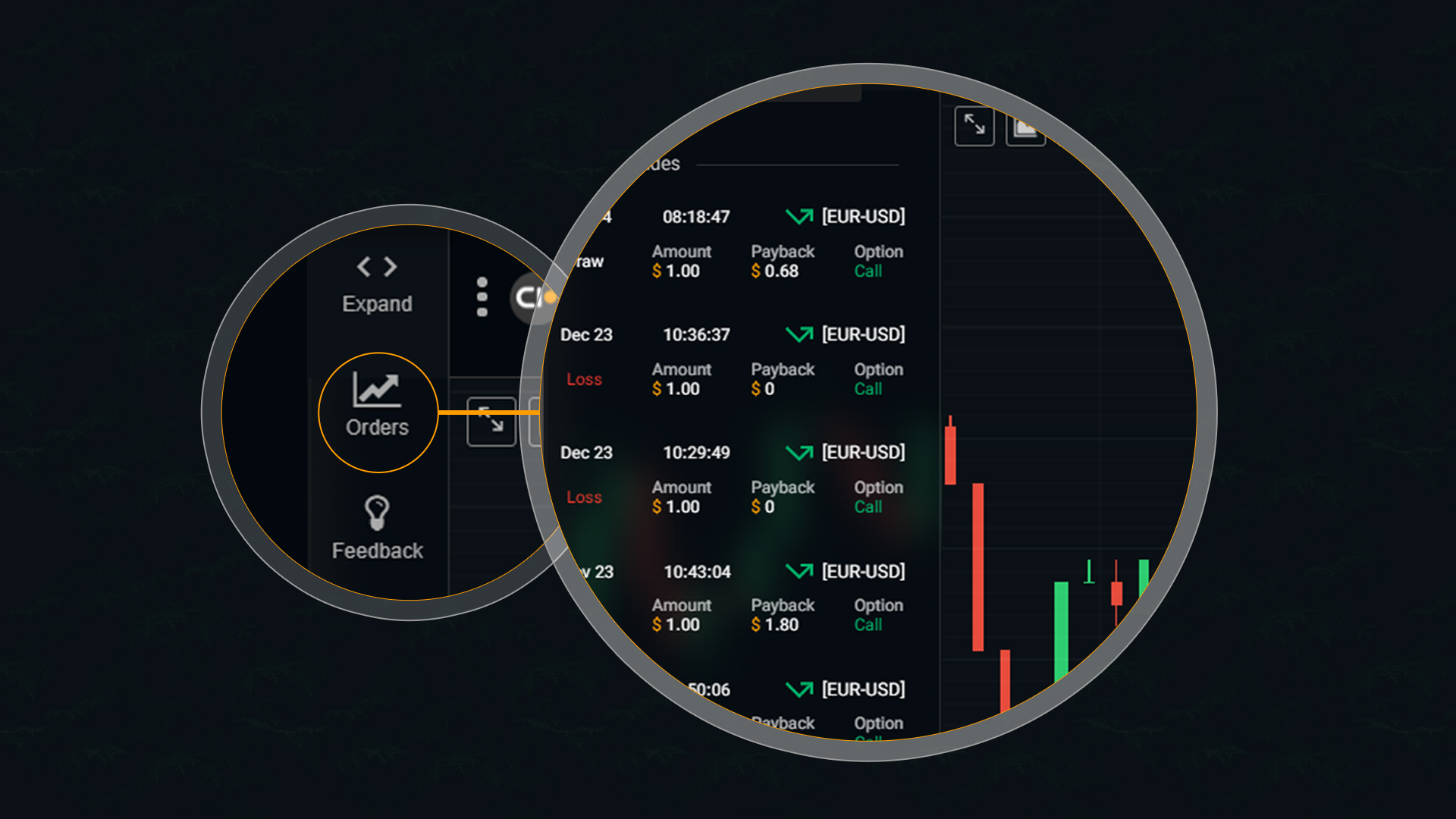 How to Check Your Recent Orders History