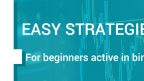 Four Easy Options Trading Strategies for Active Beginners in Trading Options