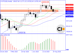 The Beginning of a Downtrend or the Continuation of an Uptrend in Bitcoin?